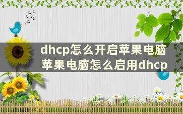 dhcp怎么开启苹果电脑 苹果电脑怎么启用dhcp